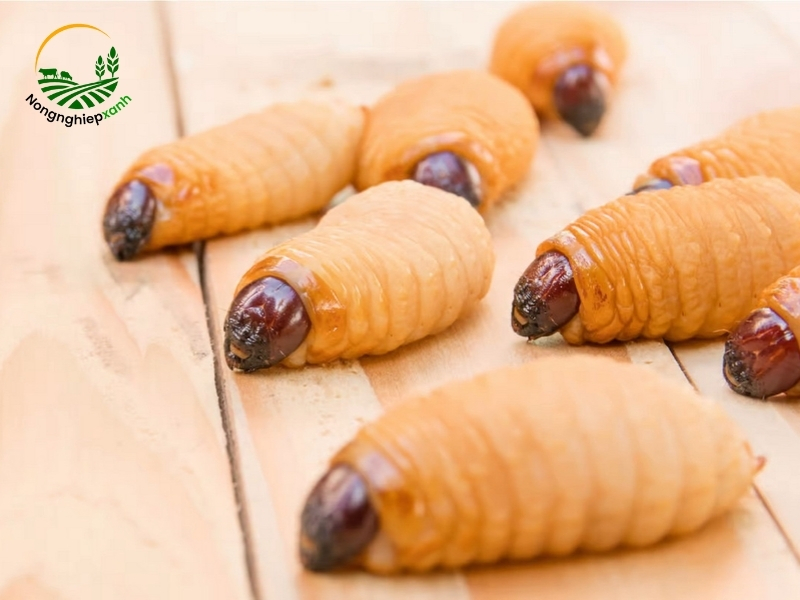 Hiểu biết cơ bản về đuông dừa