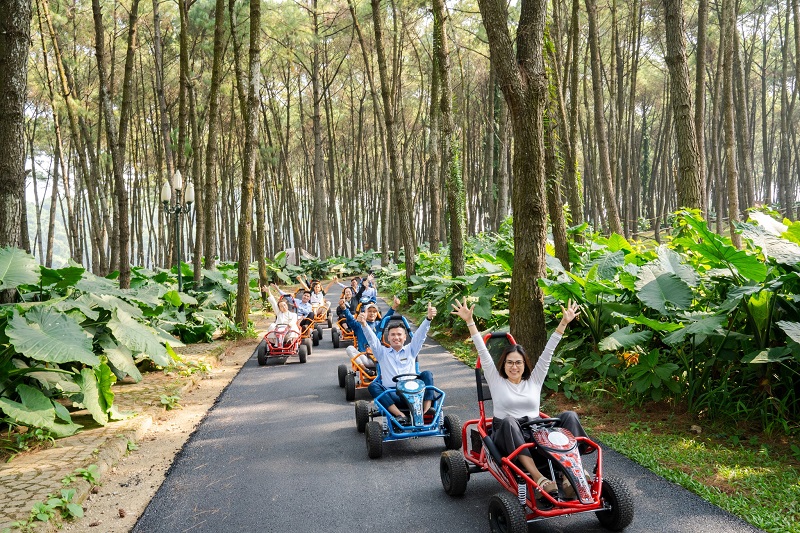 ảnh các địa điểm du lịch tại ba vì Đồi thông Ba Vì