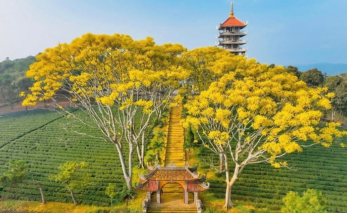 ảnh các địa điểm du lịch tại bảo lộc tu viện bát nhã