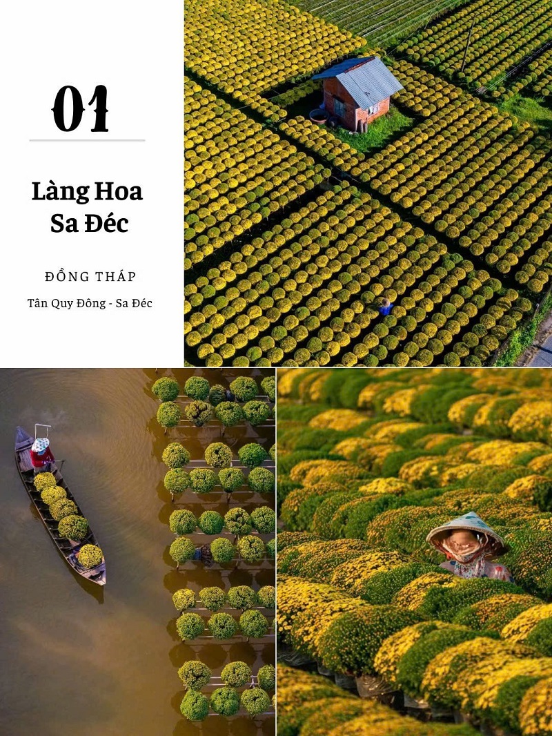 ảnh các điểm du lịch tại đồng tháp làng sa đéc