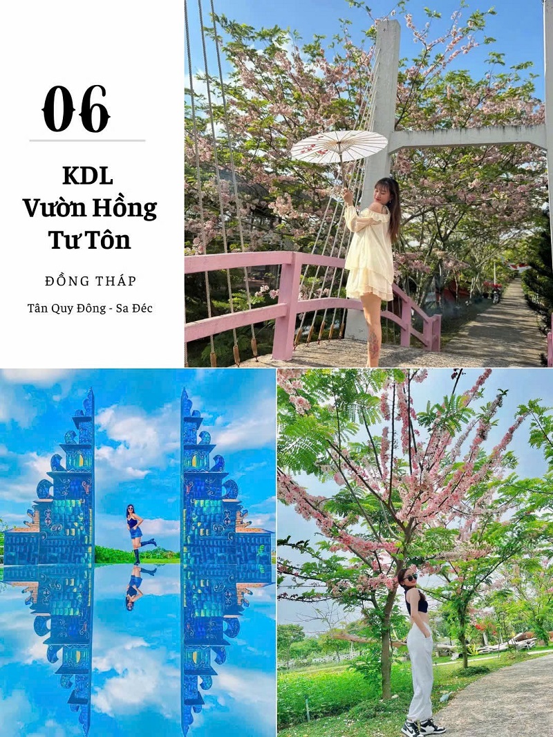 ảnh các điểm du lịch tại đồng tháp vườn hồng tư tôn