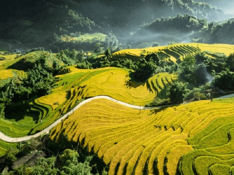 Ảnh các địa điểm du lịch tại mù cang chải Lao Chải