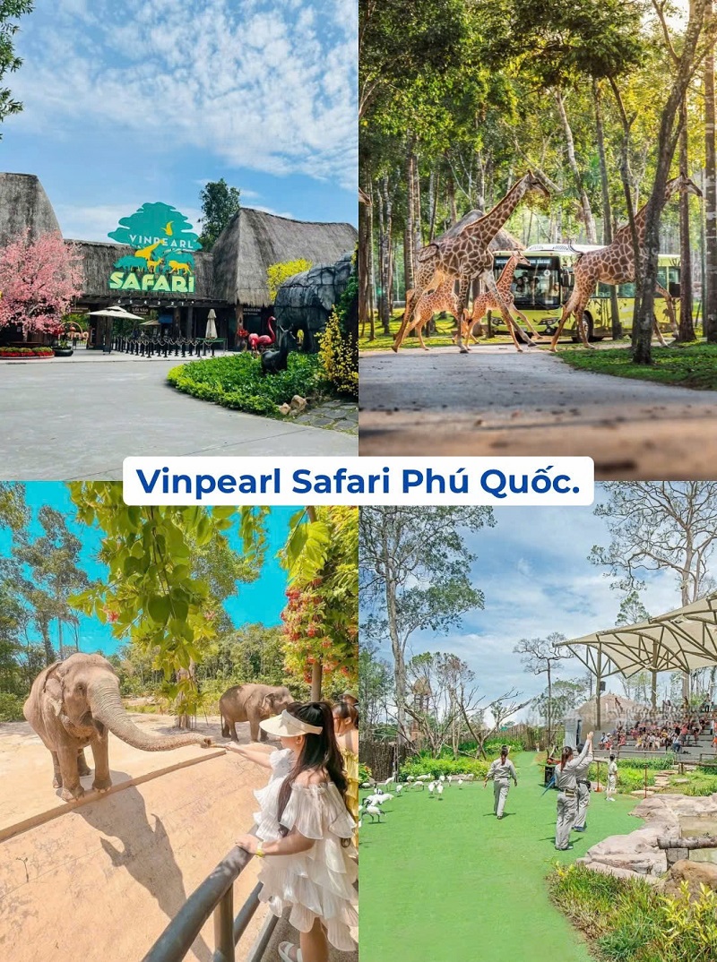 ảnh các điểm du lịch tại phú quốc vinpearl safari phú quốc