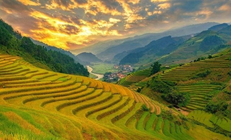 ảnh các điểm du lịch tại yên bái Cánh đồng Mường Lò (Nghĩa Lộ)