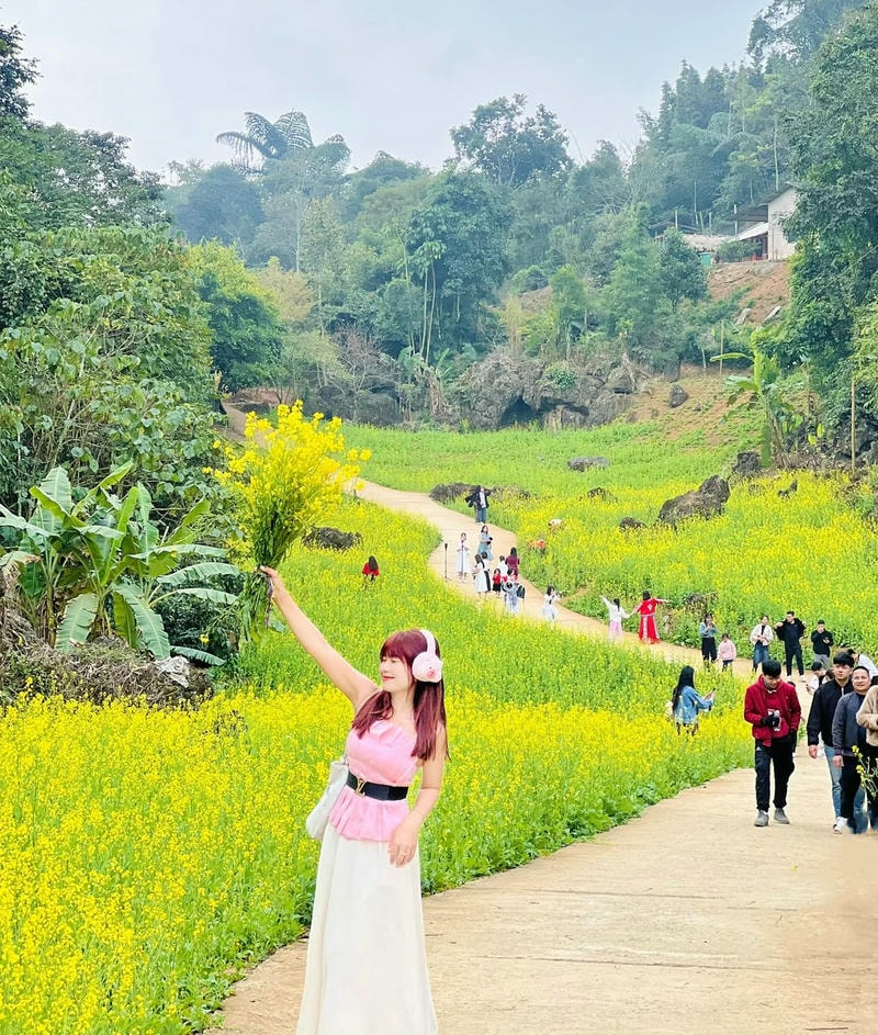 ảnh các điểm du lịch tại yên bái Suối Giàng
