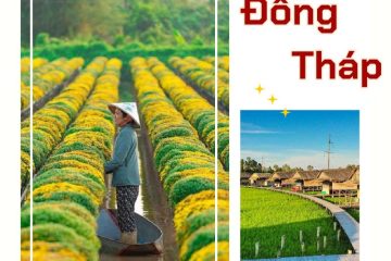 Bỏ túi 5+ điểm du lịch tại Đồng Tháp đẹp như tranh