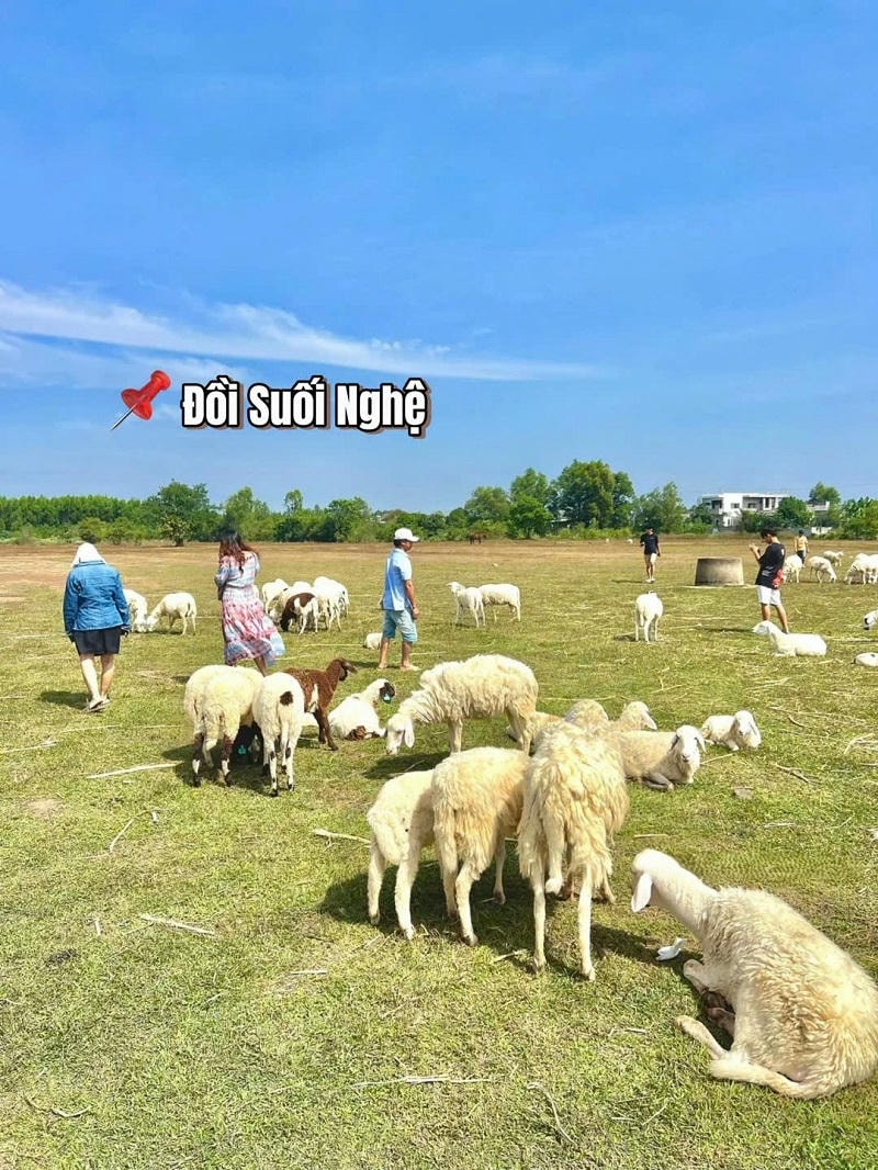địa điểm du lịch tại miền nam suối đá ghệ vũng tàu