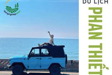 Top 9 điểm du lịch tại Phan Thiết cho kỳ nghỉ hoàn hảo