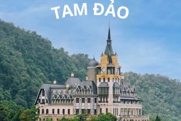 9+ Địa điểm du lịch tại Tam Đảo được giới trẻ check-in nhiều