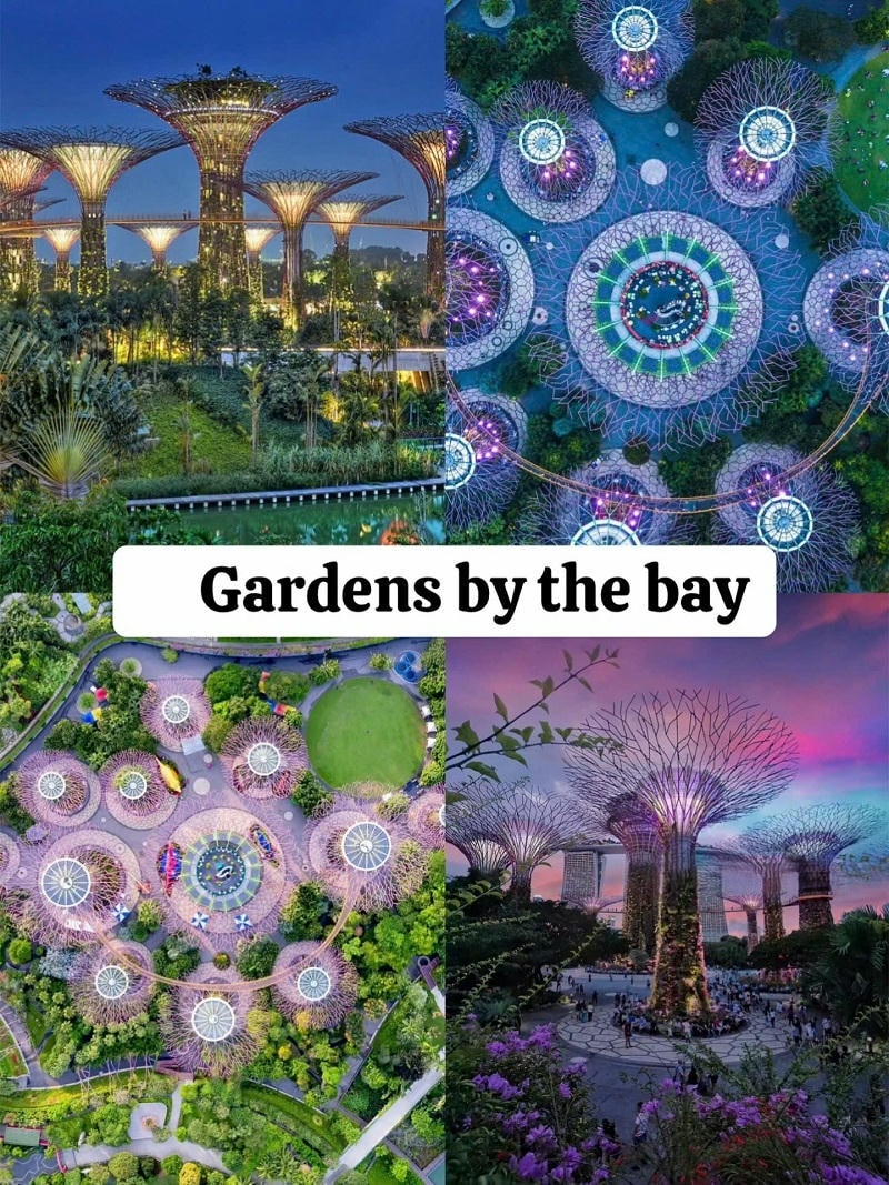  Ảnh các điểm du lịch nổi tiếng tại Singapore Gardens by the Bay