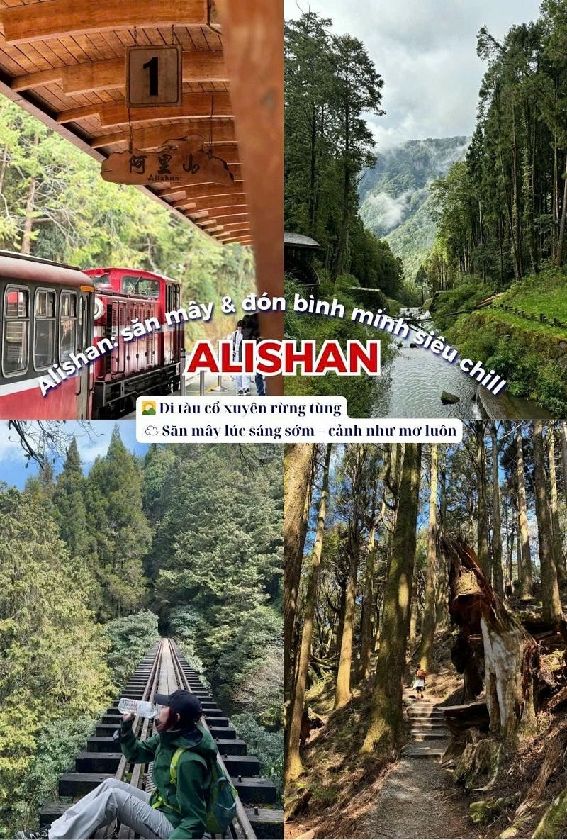 Ảnh các điểm du lịch nổi tiếng tại Đài Loan Alishan