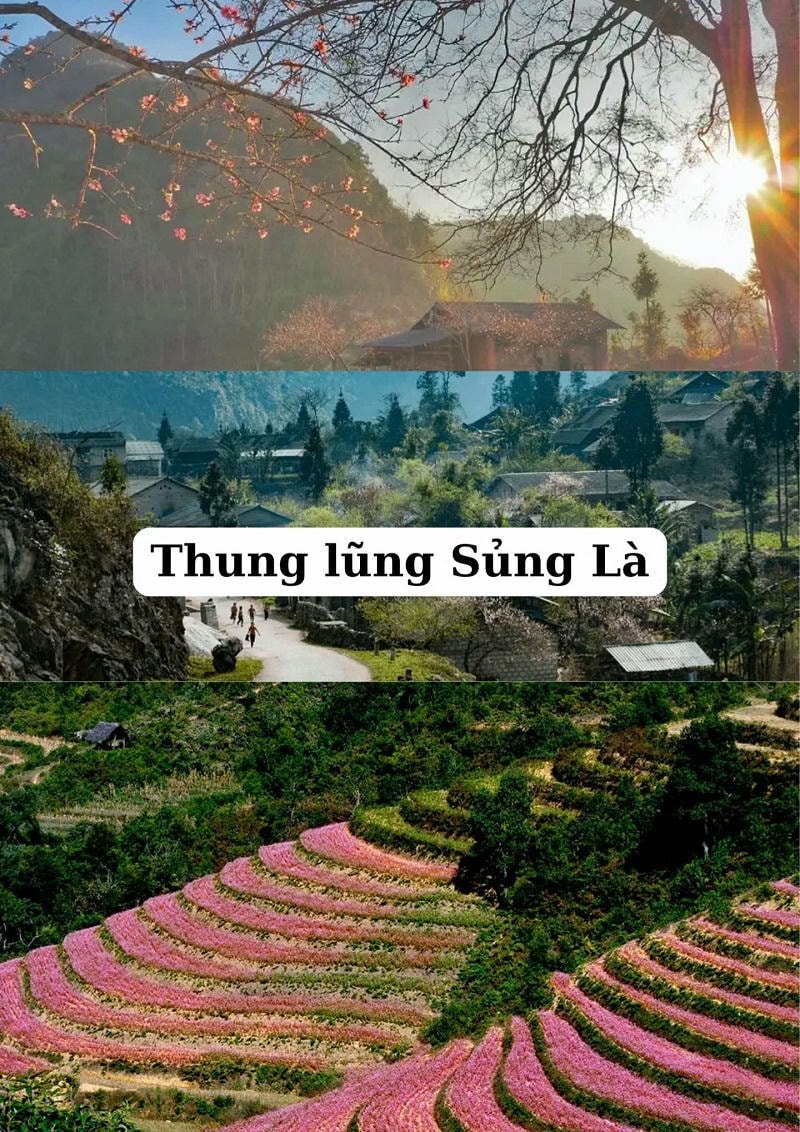 Ảnh các địa điểm du lịch tại Hà Giang Thung lũng Sủng Là
