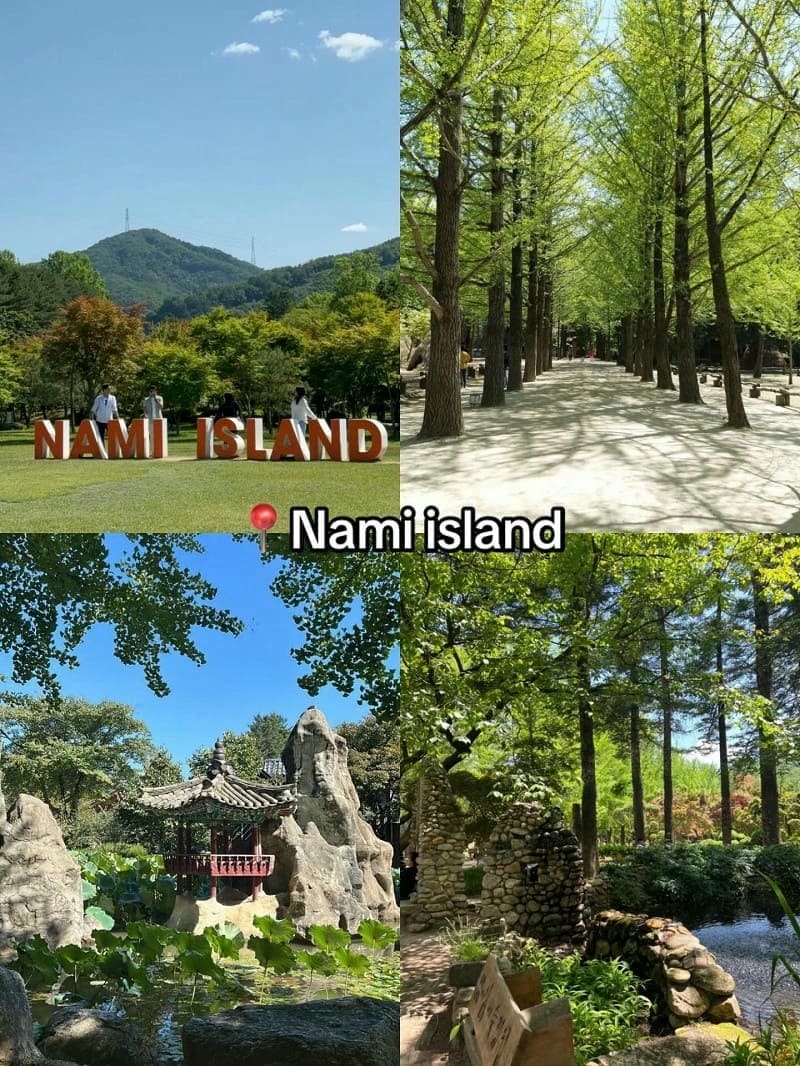 Ảnh các điểm du lịch tại Hàn Quốc Nami Island