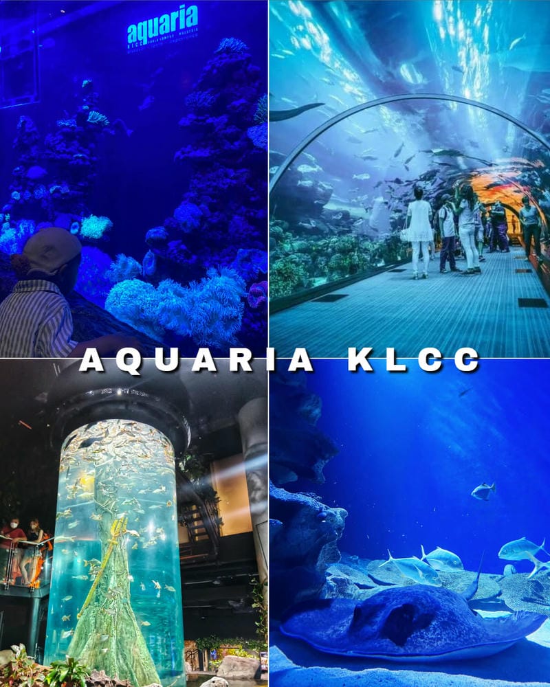 Ảnh các điểm du lịch nổi tiếng tại Kuala Lumpur Aquaria KLCC