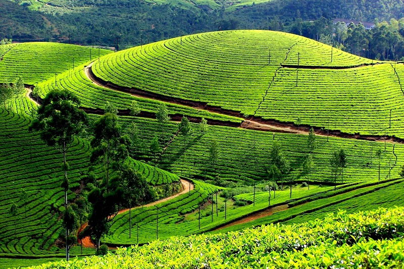 điểm du lịch tại mộc châu cao nguyên mộc châu