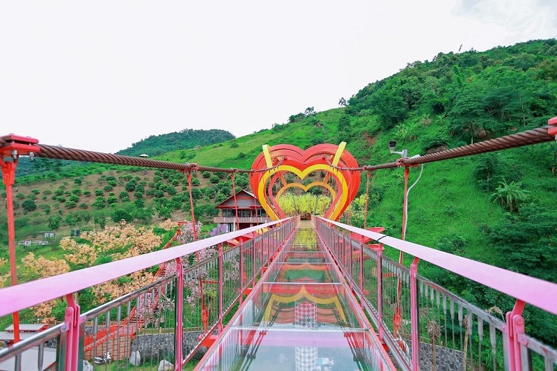 điểm du lịch tại mộc châu cầu kính tinh yêu