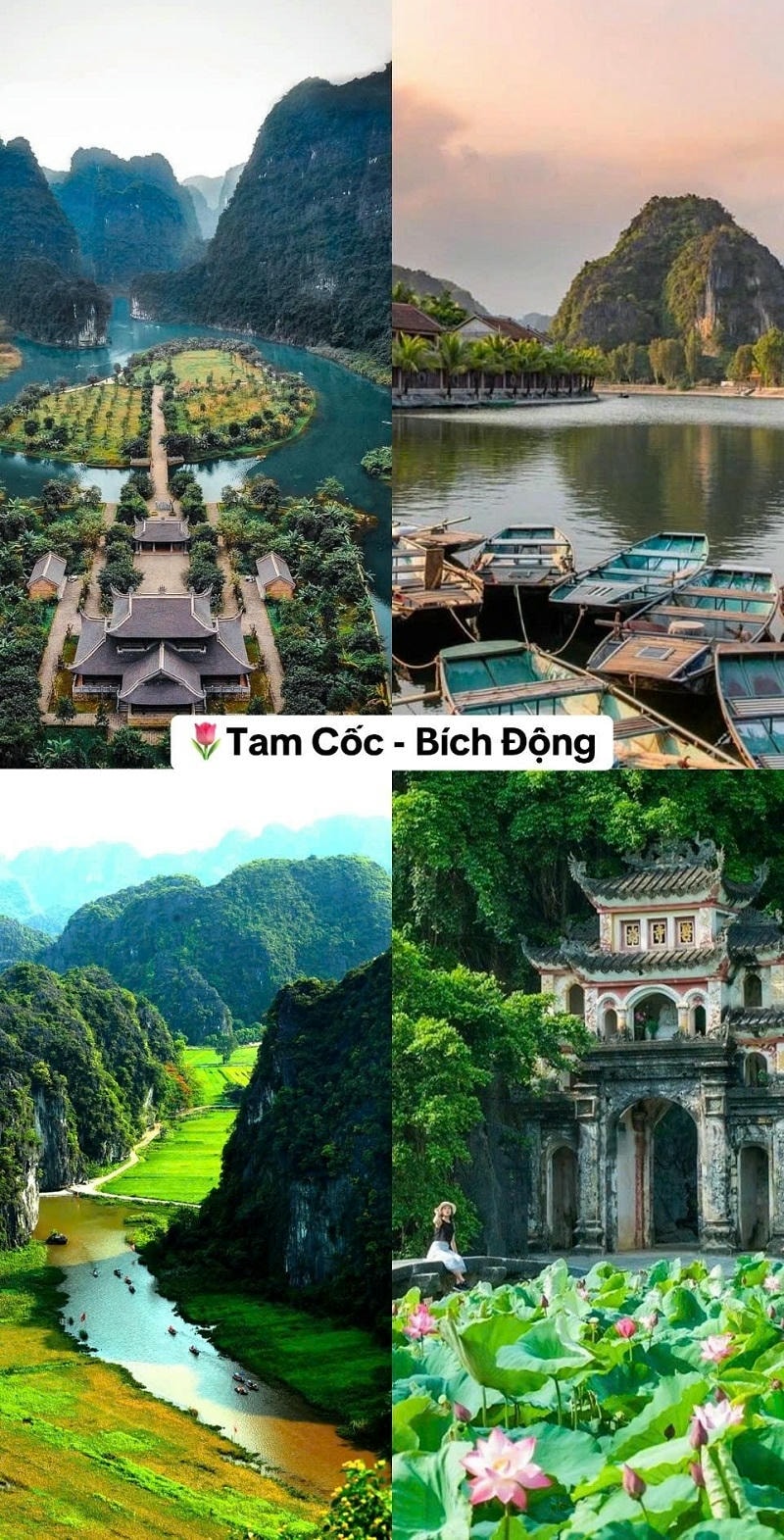 Ảnh các địa điểm du lịch tại Ninh Bình Tam Cốc Bích Động