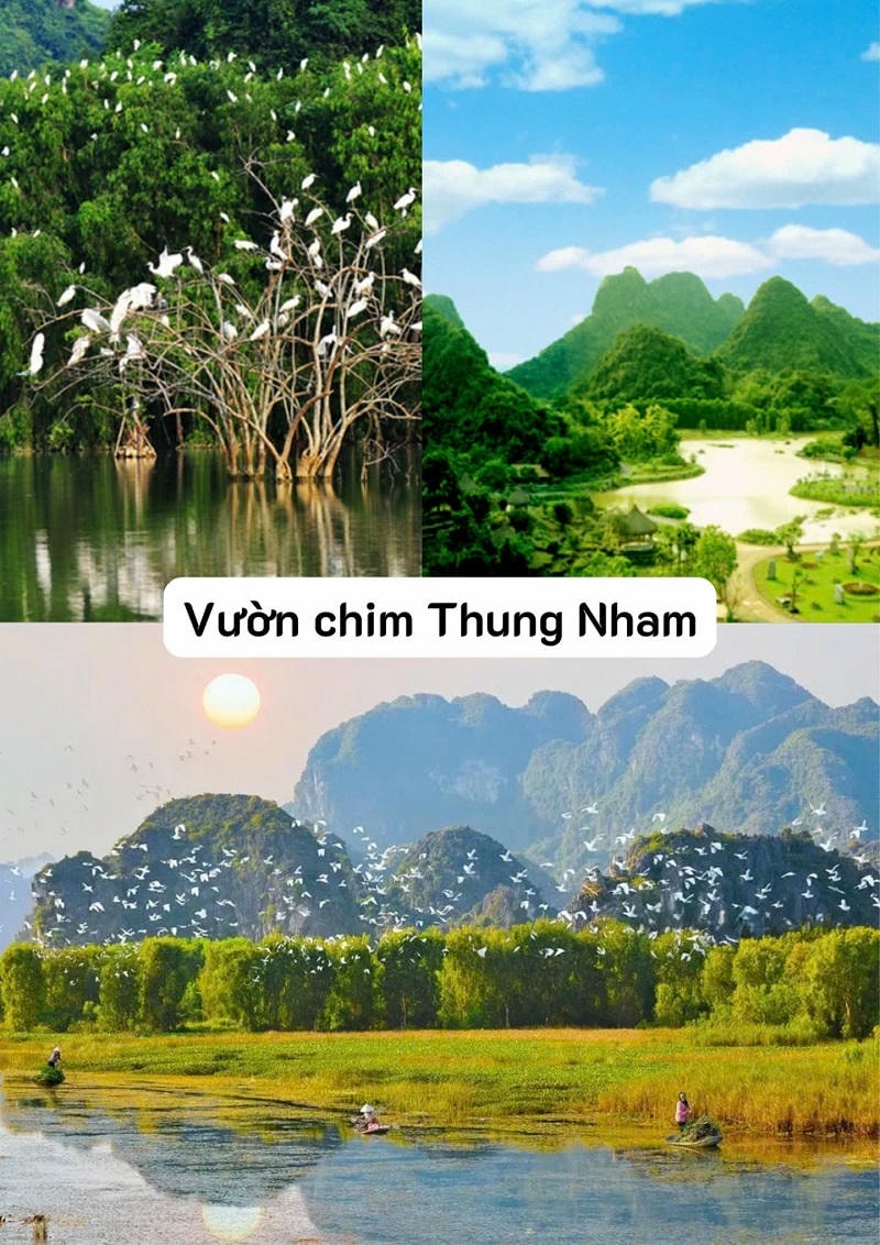 Ảnh các địa điểm du lịch tại Ninh Bình Vườn chim Thung Nham