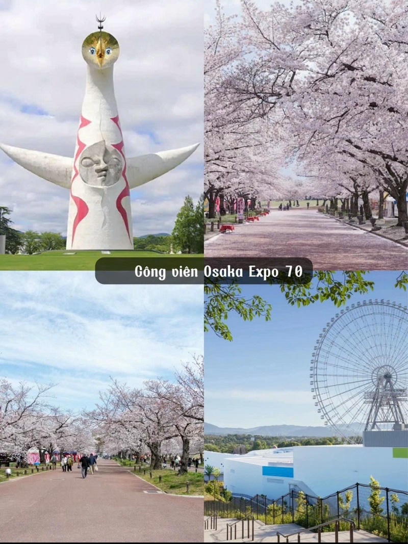 Ảnh các điểm du lịch nổi tiếng tại Osaka: Công viên Expo ’70