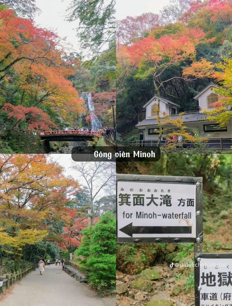 Ảnh các điểm du lịch nổi tiếng tại Osaka: Công viên Minoh