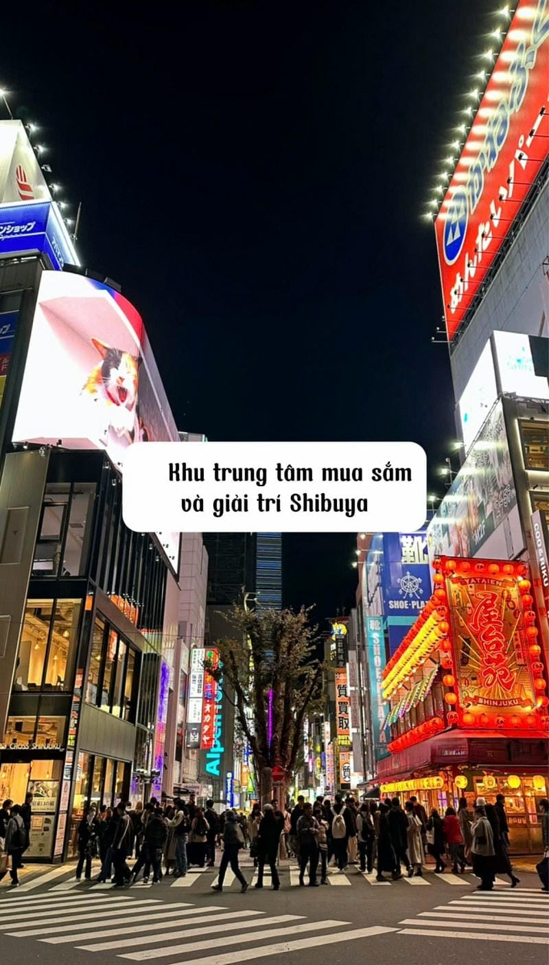 Ảnh các điểm du lịch tại Tokyo Shibuya