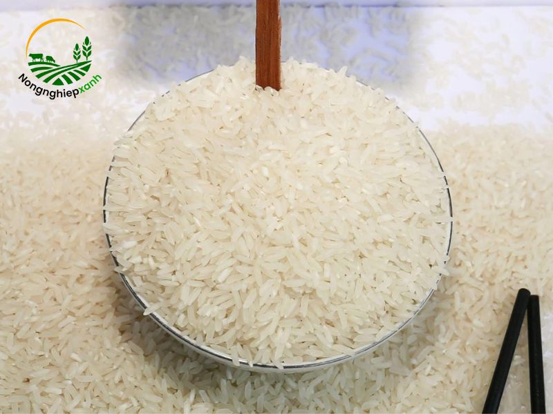 Kỹ thuật trồng lúa