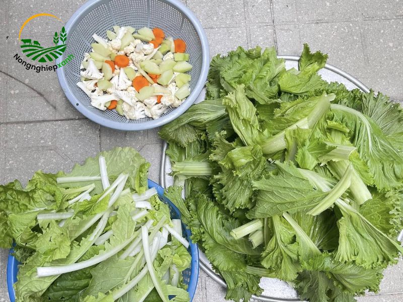 Mẹo giúp cải bẹ xanh tươi lâu