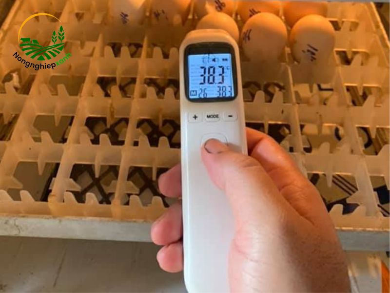 Nhiệt độ ấp trứng