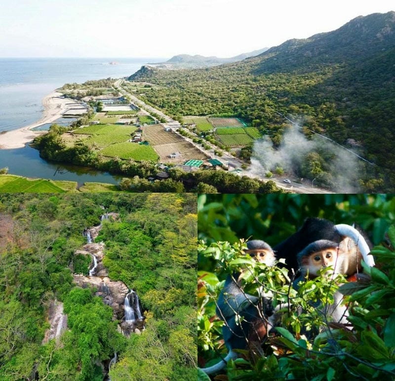 Ảnh các địa điểm du lịch tại Ninh Thuận Núi Chúa