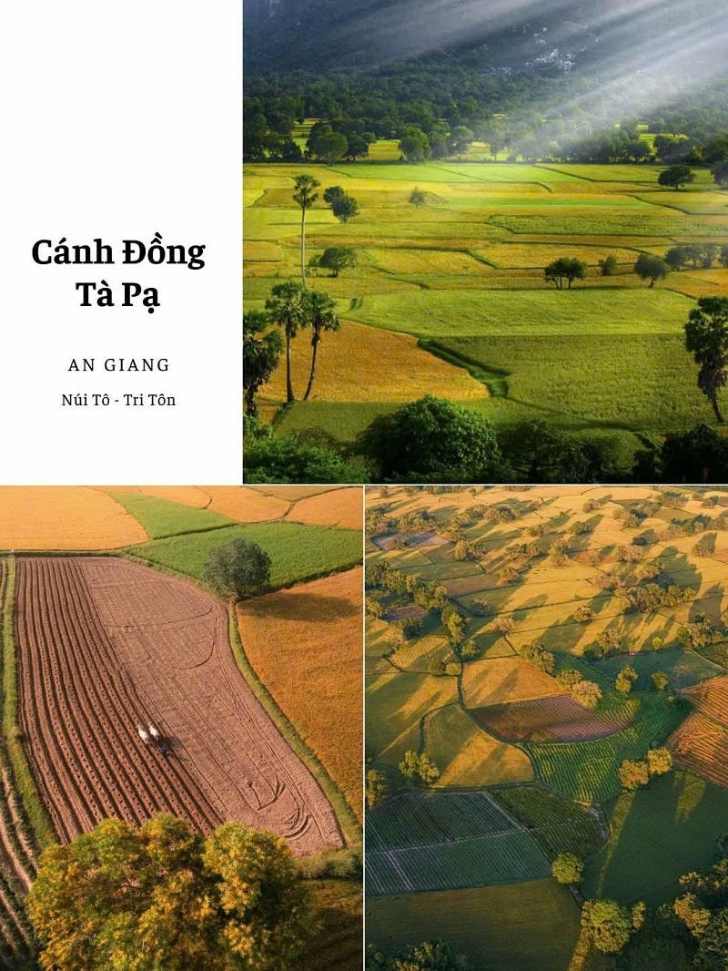 ảnh các điểm du lịch tại an giang Cánh đồng Tà Pạ