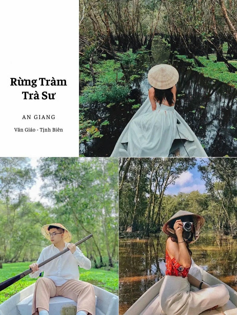 ảnh các điểm du lịch tại an giang Rừng tràm Trà Sư