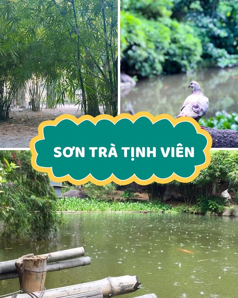 Ảnh các điểm du lịch tại bán đảo Sơn Trà Sơn Trà Tịnh Viên
