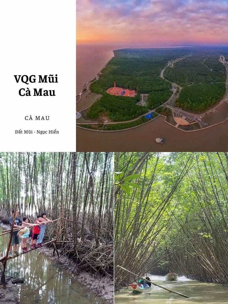 Ảnh các điểm du lịch tại Cà Mau: Vườn quốc gia Mũi Cà Mau