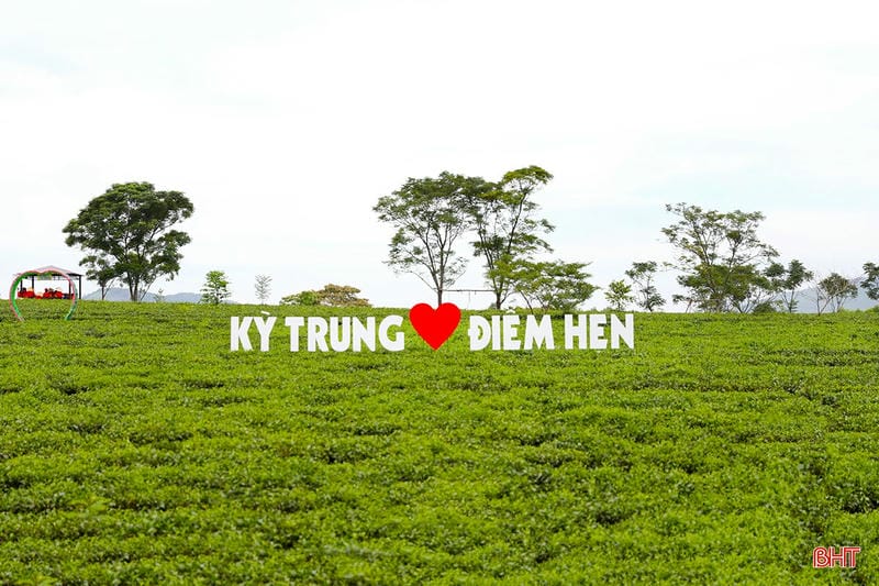 Ảnh các điểm du lịch tại Hà Tĩnh Đồi chè Kỳ Trung