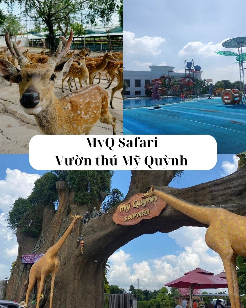 ảnh các điểm du lịch tại long an MyQ Safari – Vườn thú Mỹ Quỳnh