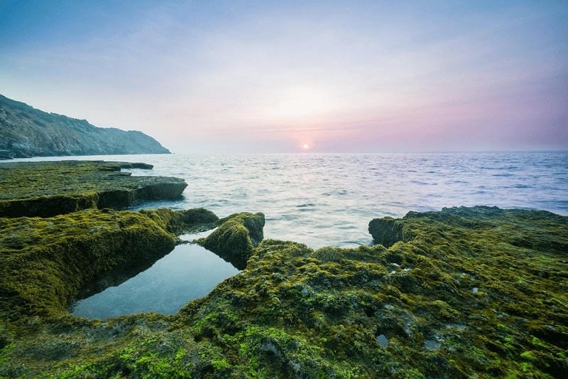 Ảnh các điểm du lịch gần Phan Rang Hang Rái