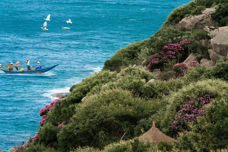 Ảnh các điểm du lịch tại Phan Rang Mũi Dinh