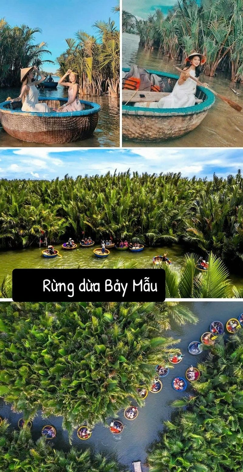 Ảnh các điểm du lịch tại Quảng Nam Rừng dừa Bảy Mẫu