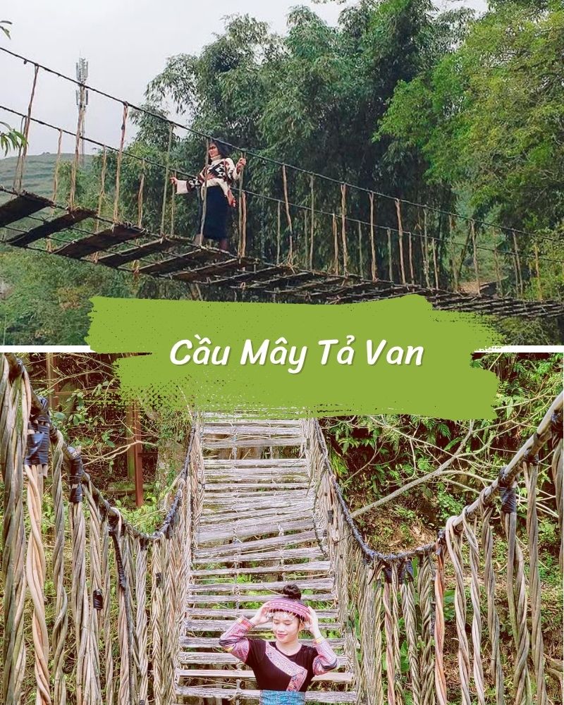 ảnh các điểm du lịch tại sapa Cầu Mây Tả Van