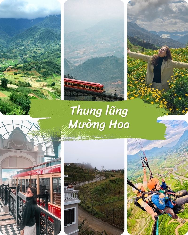 ảnh các điểm du lịch tại sapa Thung lũng Mường Hoa