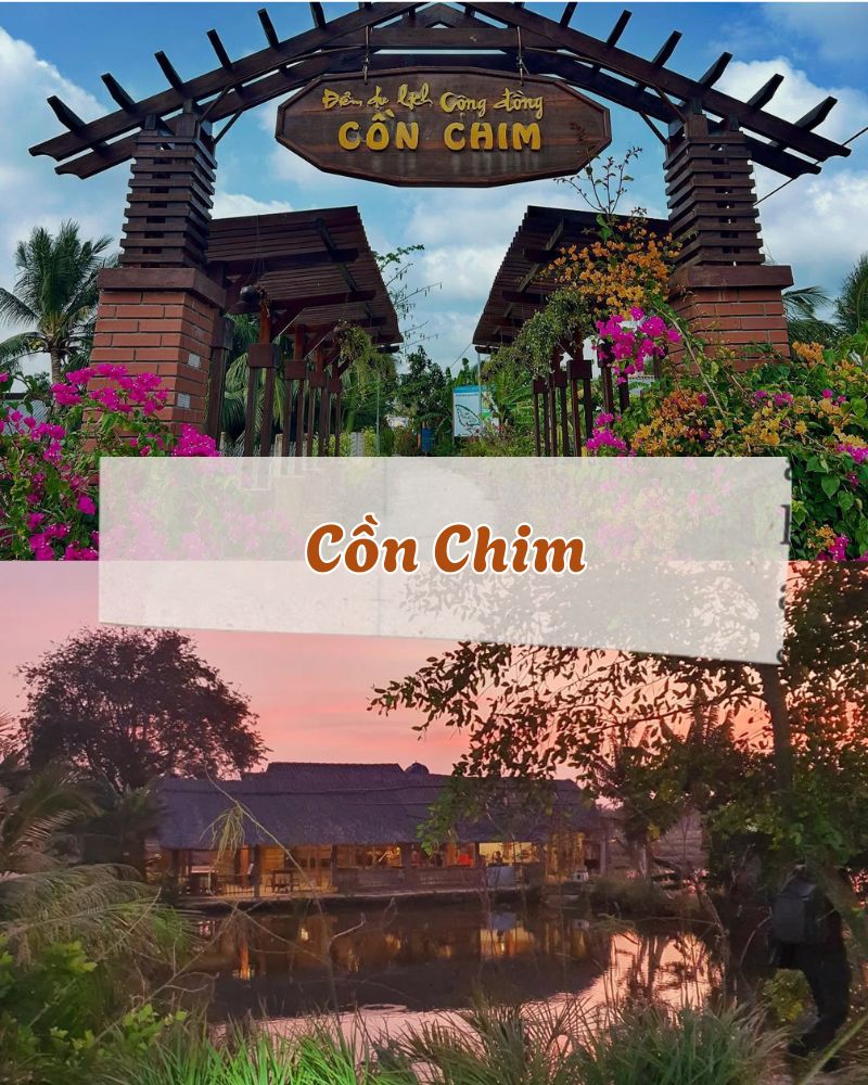 Ảnh các điểm du lịch tại Trà Vinh Cồn Chim