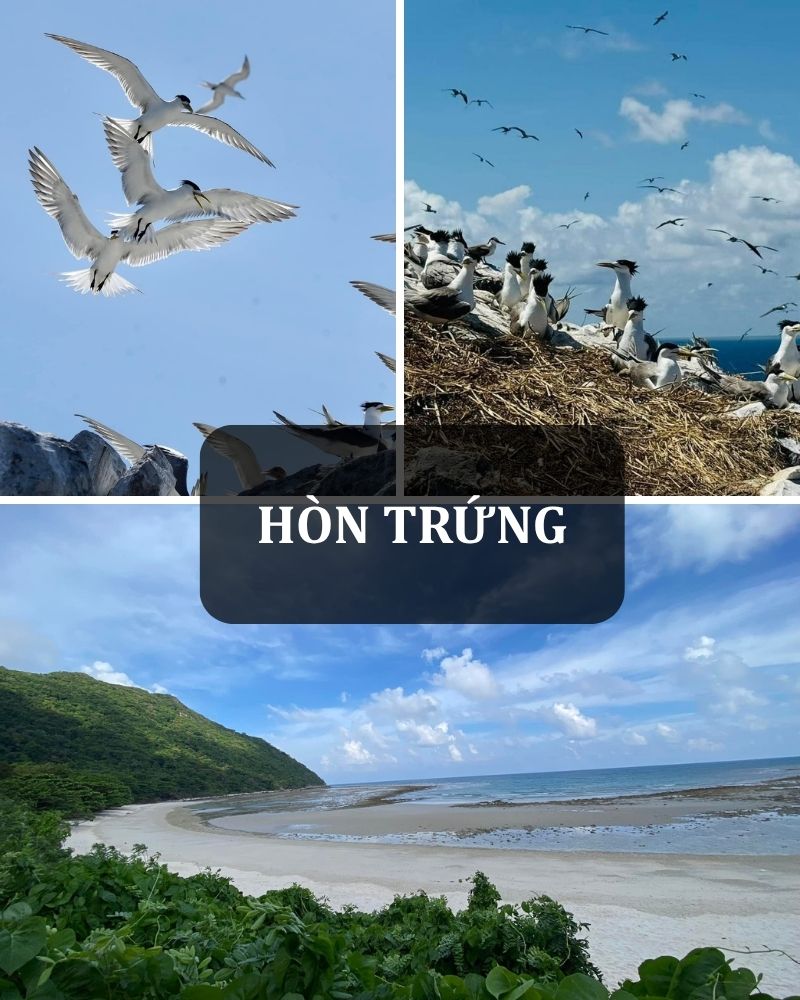 ảnh các điểm tham quan du lịch tại côn đảo Hòn Trứng