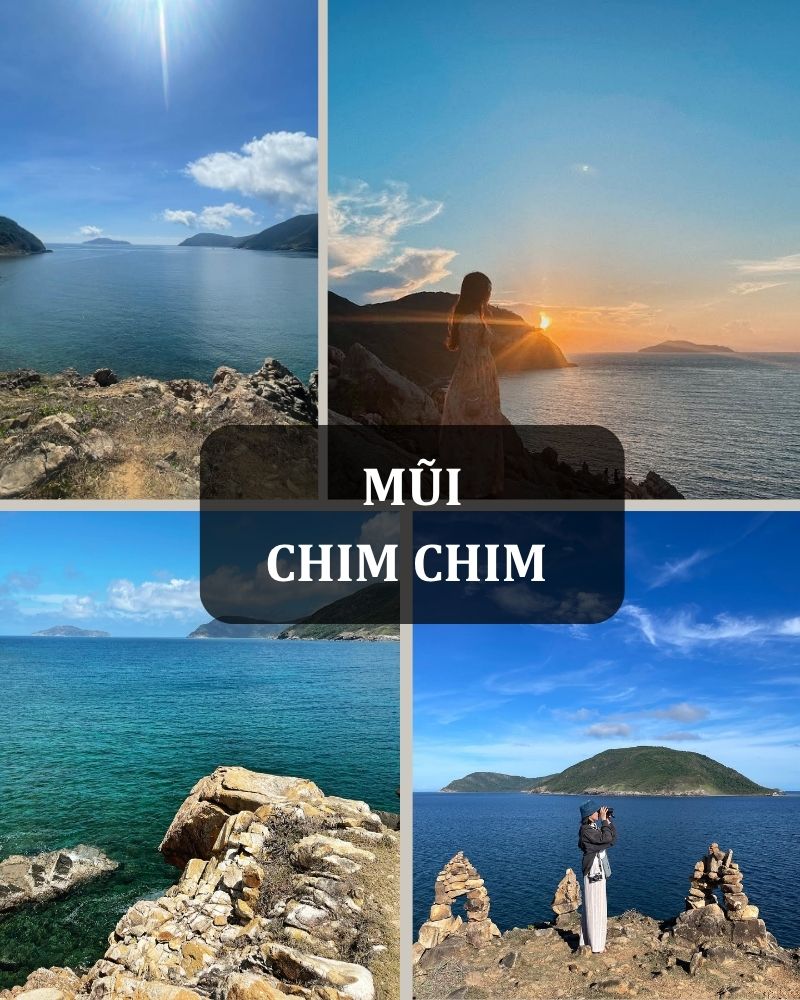 ảnh các điểm tham quan du lịch tại côn đảo Mũi Chim Chim