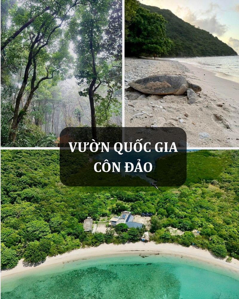 ảnh các điểm tham quan du lịch tại côn đảo Vườn quốc gia Côn Đảo