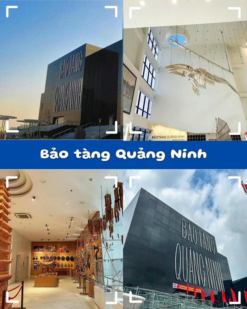 ảnh các điểm tham quan tại hạ long Bảo tàng Quảng Ninh