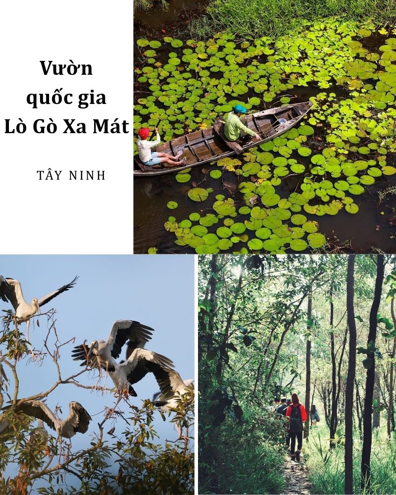Ảnh các địa điểm du lịch tại Tây Ninh Vườn quốc gia Lò Gò – Xa Mát